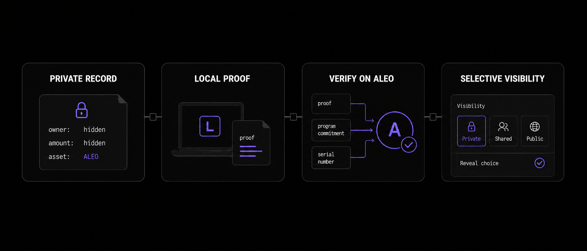 Aleo privacy flow from private record to local proof, on-chain verification and selective visibility in Leo Wallet Desktop