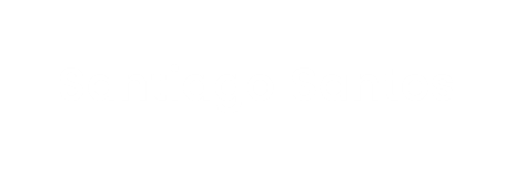 Santiago Santos